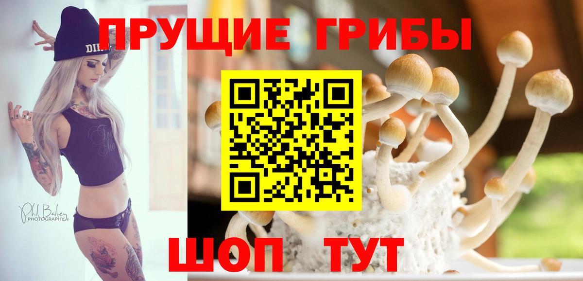 Псилоцибиновые грибы мицелий  Вход с VPN  Белебей 